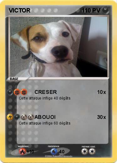 Pokemon VICTOR
