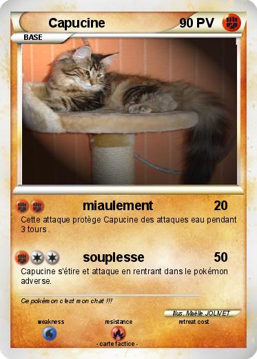 Pokemon Capucine