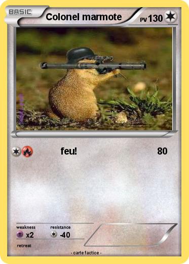 Pokemon Colonel marmote