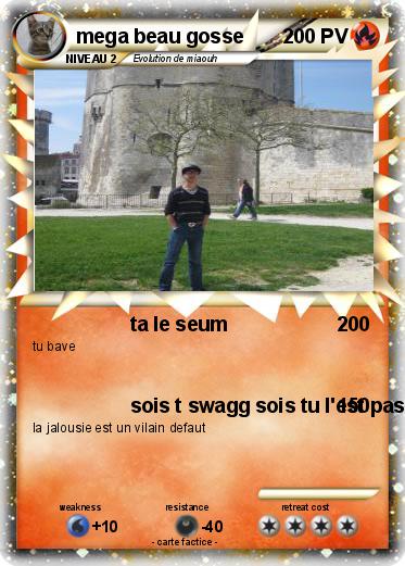 Pokemon mega beau gosse