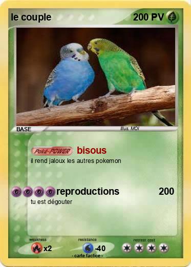 Pokemon le couple