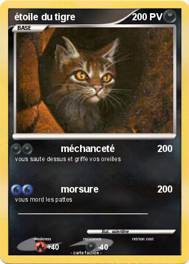 Pokemon étoile du tigre