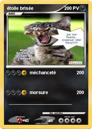 Pokemon étoile brisée