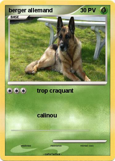 Pokemon berger allemand