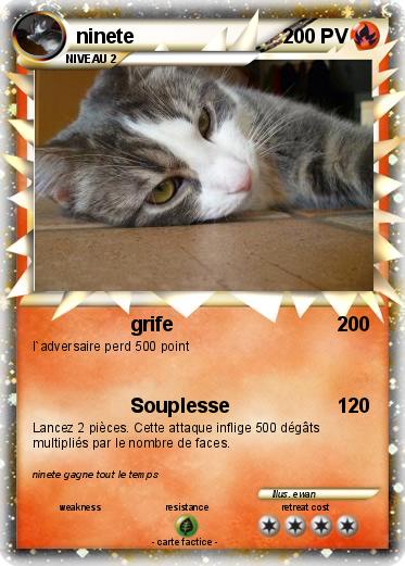 Pokemon ninete