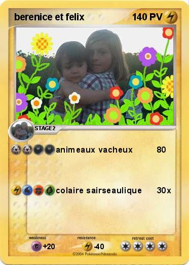 Pokemon berenice et felix