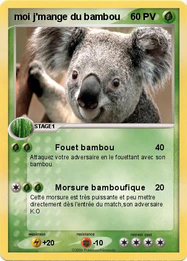 Pokemon moi j'mange du bambou