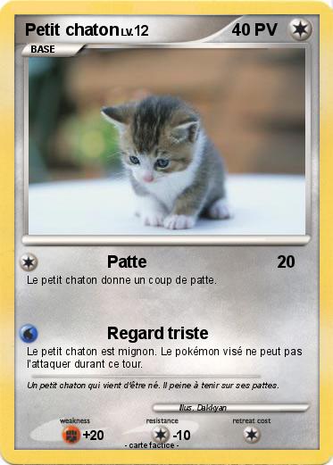 Pokemon Petit chaton