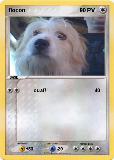 Pokemon flocon