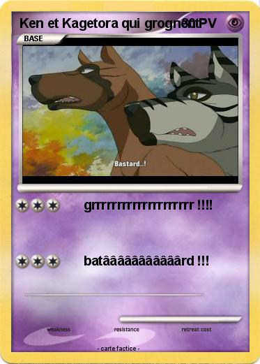 Pokemon Ken et Kagetora qui grognent