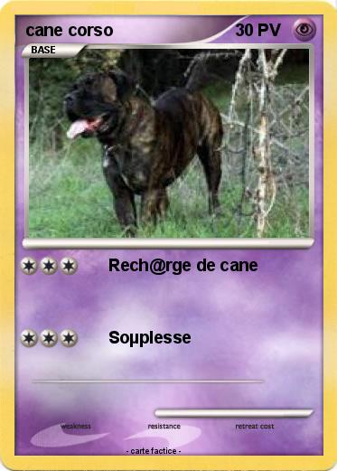 Pokemon cane corso