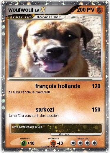 Pokemon woufwouf