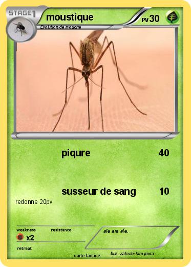 Pokemon moustique
