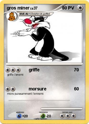 Pokemon gros miner