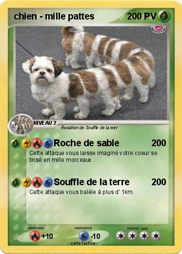 Pokemon chien - mille pattes