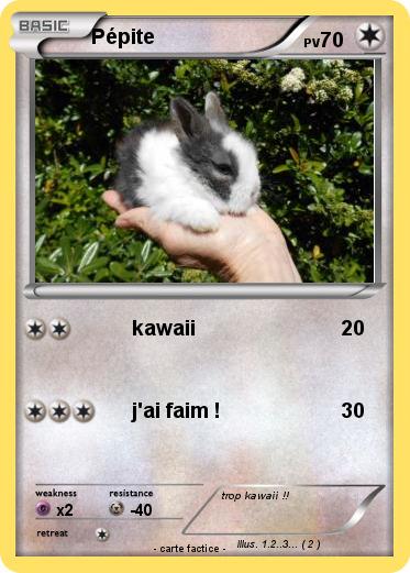 Pokemon Pépite