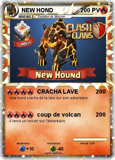 Pokemon NEW HOND