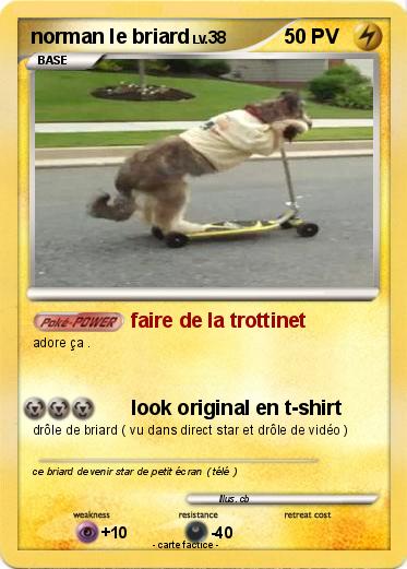 Pokemon norman le briard
