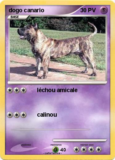 Pokemon dogo canario