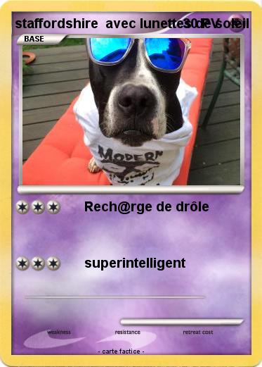 Pokemon staffordshire  avec lunettes de soleil