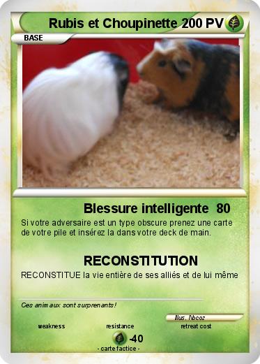 Pokemon Rubis et Choupinette