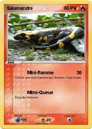 Pokemon Salamandre