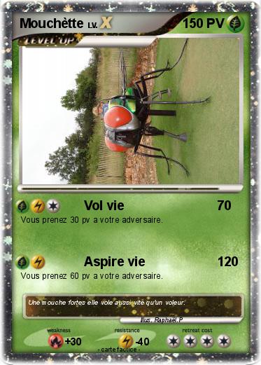 Pokemon Mouchètte