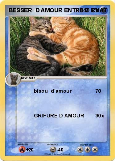 Pokemon BESSER  D AMOUR ENTRE 2  CHAT