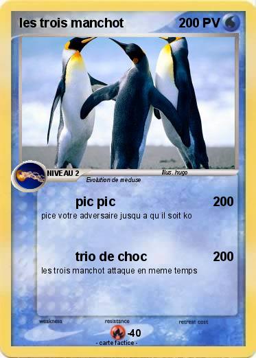 Pokemon les trois manchot