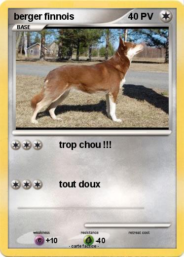 Pokemon berger finnois