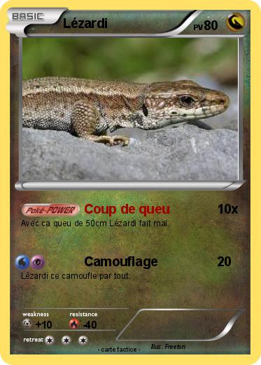 Pokemon Lézardi