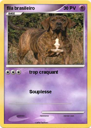 Pokemon fila brasileiro