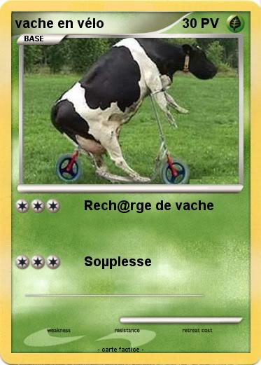 Pokemon vache en vélo