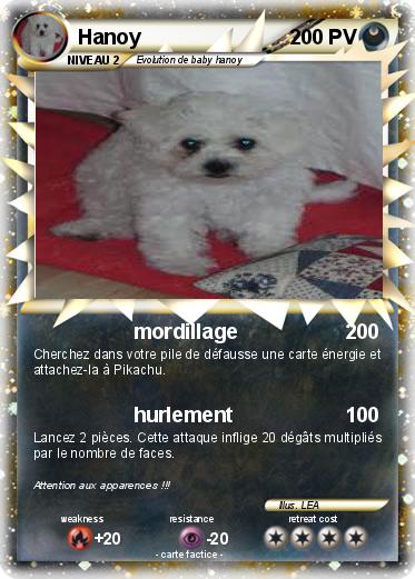 Pokemon Hanoy