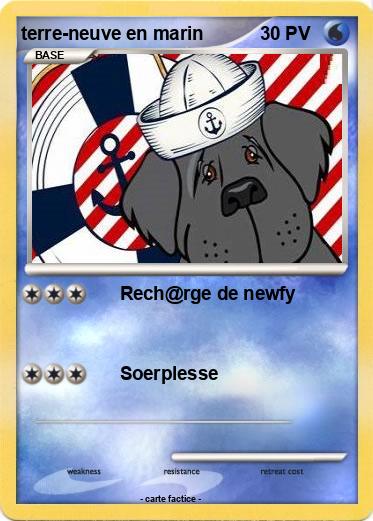 Pokemon terre-neuve en marin