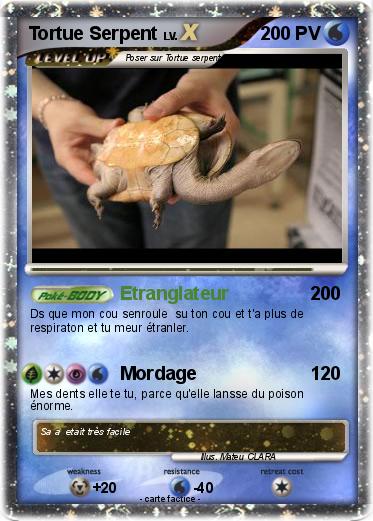 Pokemon Tortue Serpent