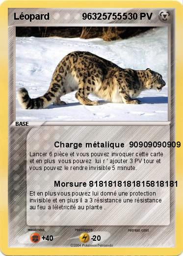 Pokemon Léopard             963257555