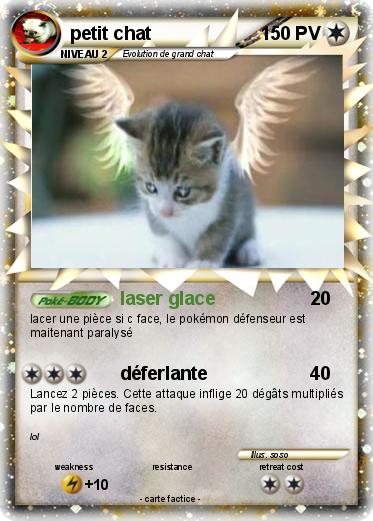 Pokemon petit chat