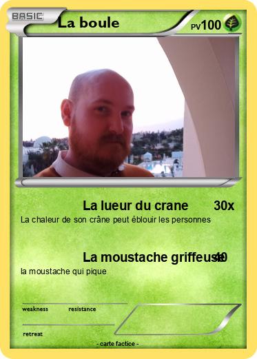 Pokemon La boule