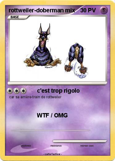 Pokemon rottweiler-doberman mix