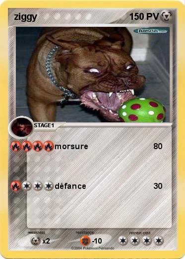 Pokemon ziggy