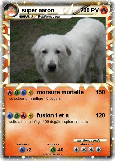 Pokemon super aaron