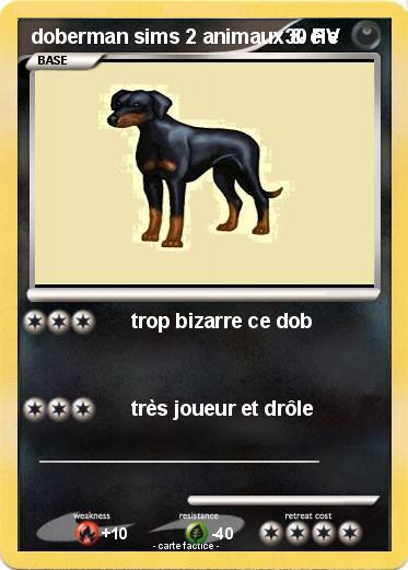 Pokemon doberman sims 2 animaux & cie