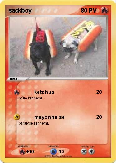 Pokemon sackboy