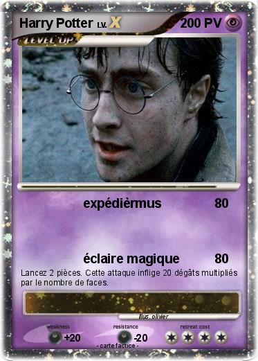 Pokemon Harry Potter