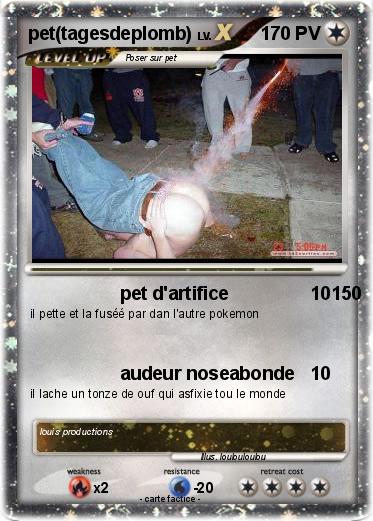 Pokemon pet(tagesdeplomb)