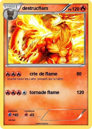 Pokemon destrucflam