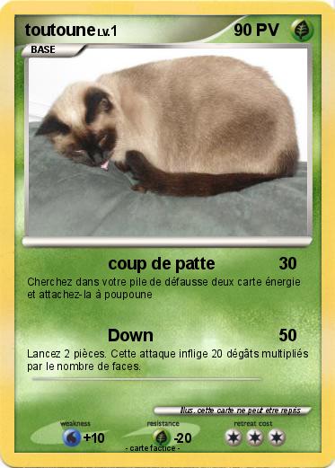 Pokemon toutoune