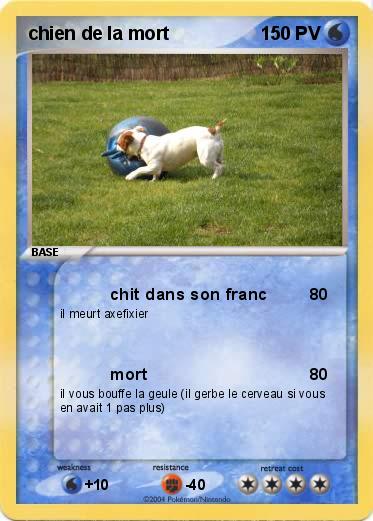 Pokemon chien de la mort