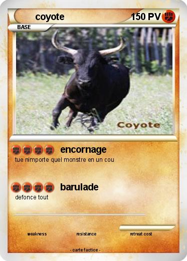 Pokemon coyote